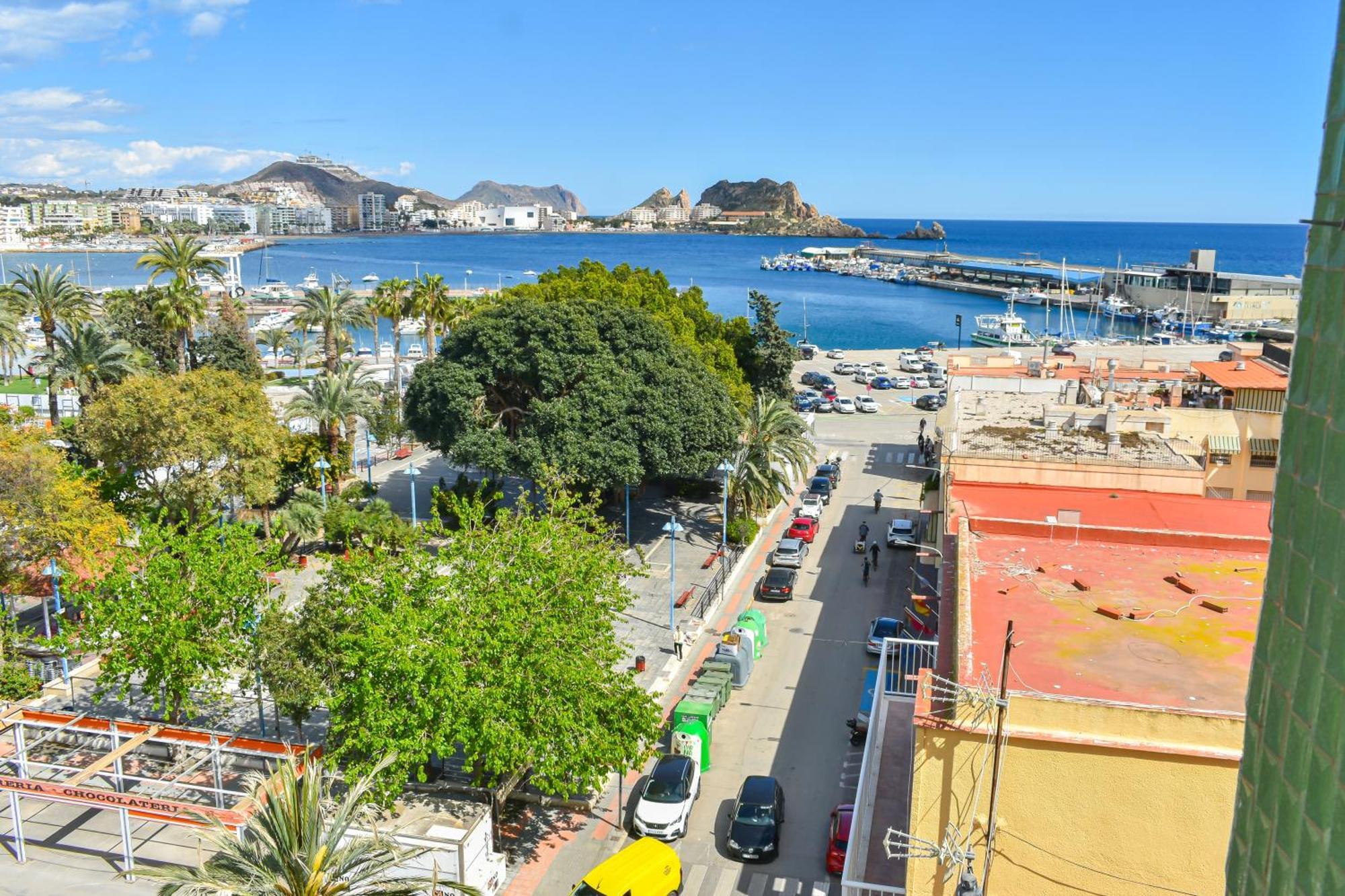 Dream View - By Aloha Palma * Aguilas