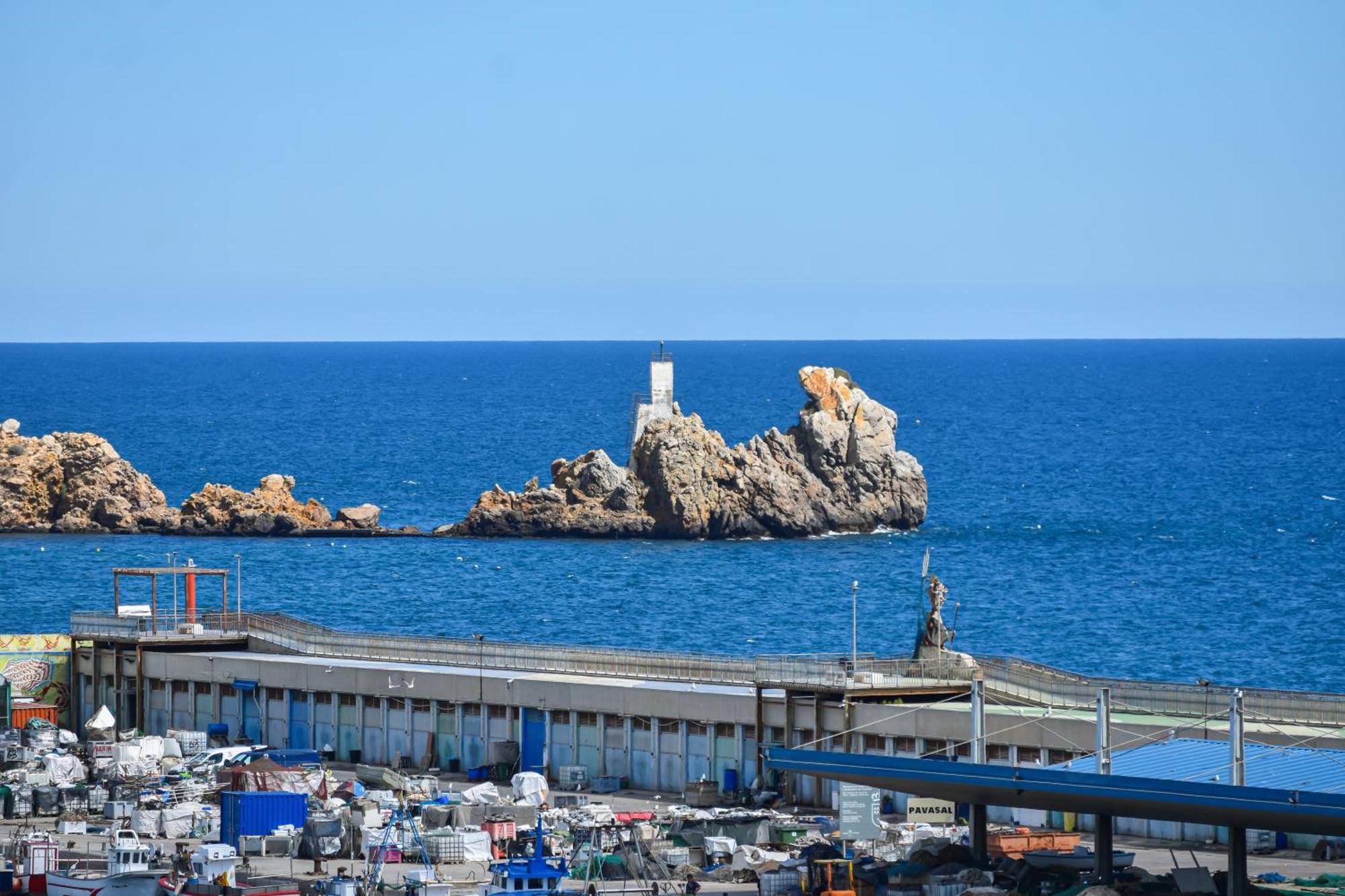 Dream View - By Aloha Palma Aguilas